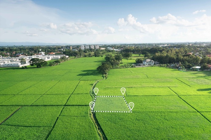 Green farm field with clear blue sky and marked plot lines indicating planned building site